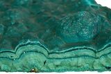 Teal Botryoidal Chrysocolla and Malachite - Chile #310145-1